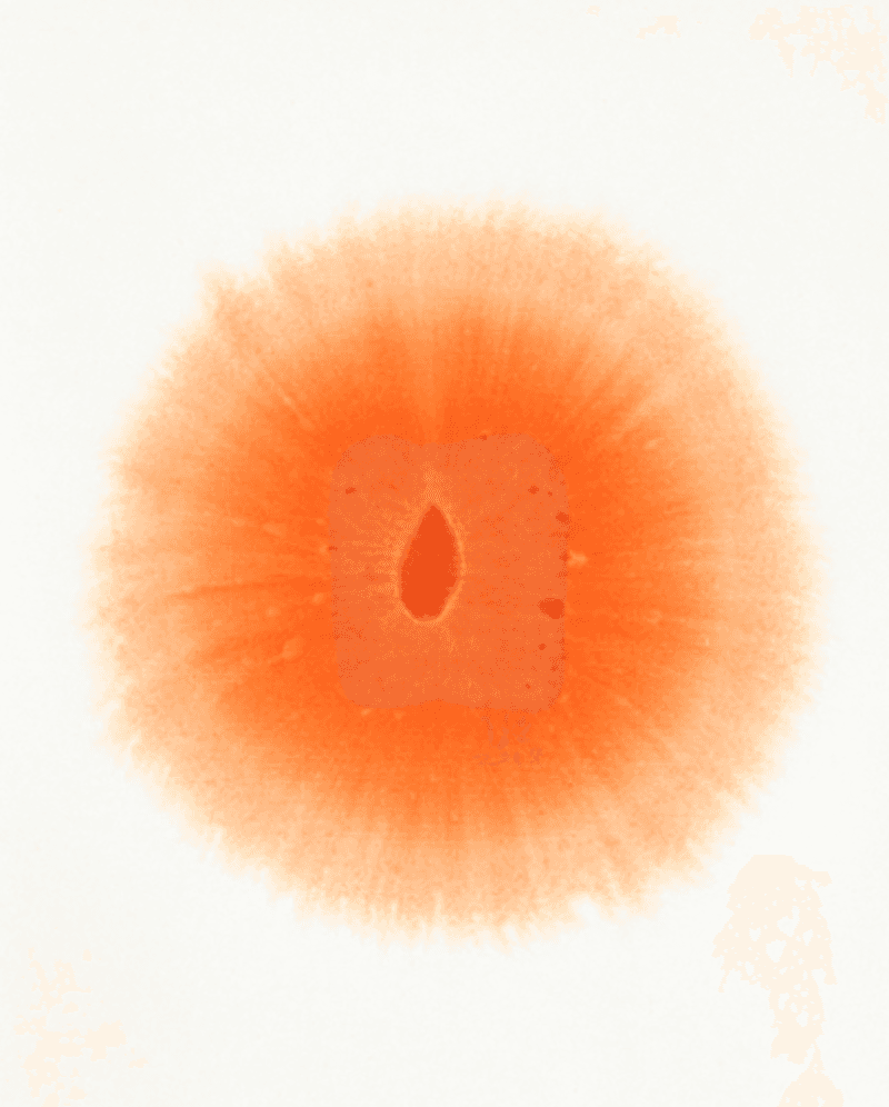 전시 전경 1