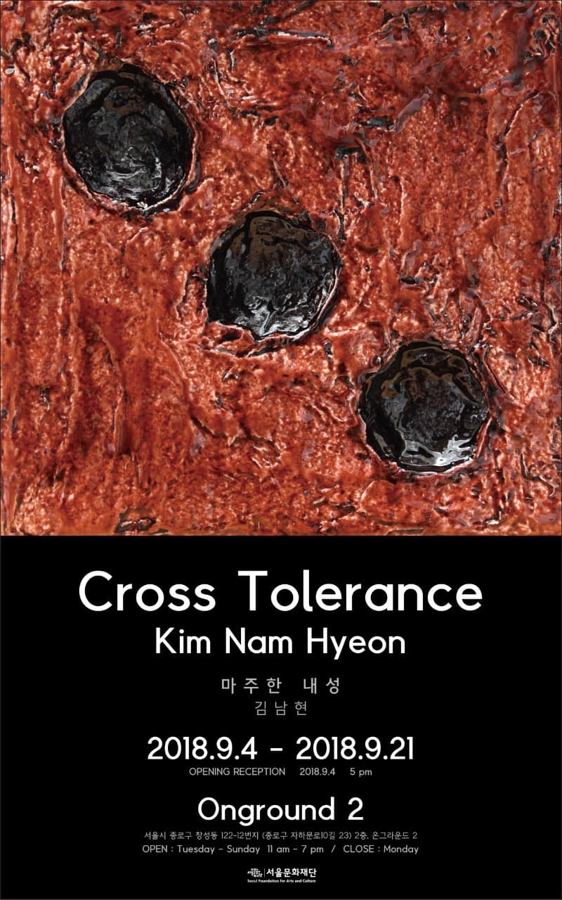 Cross Tolerance - 김남현