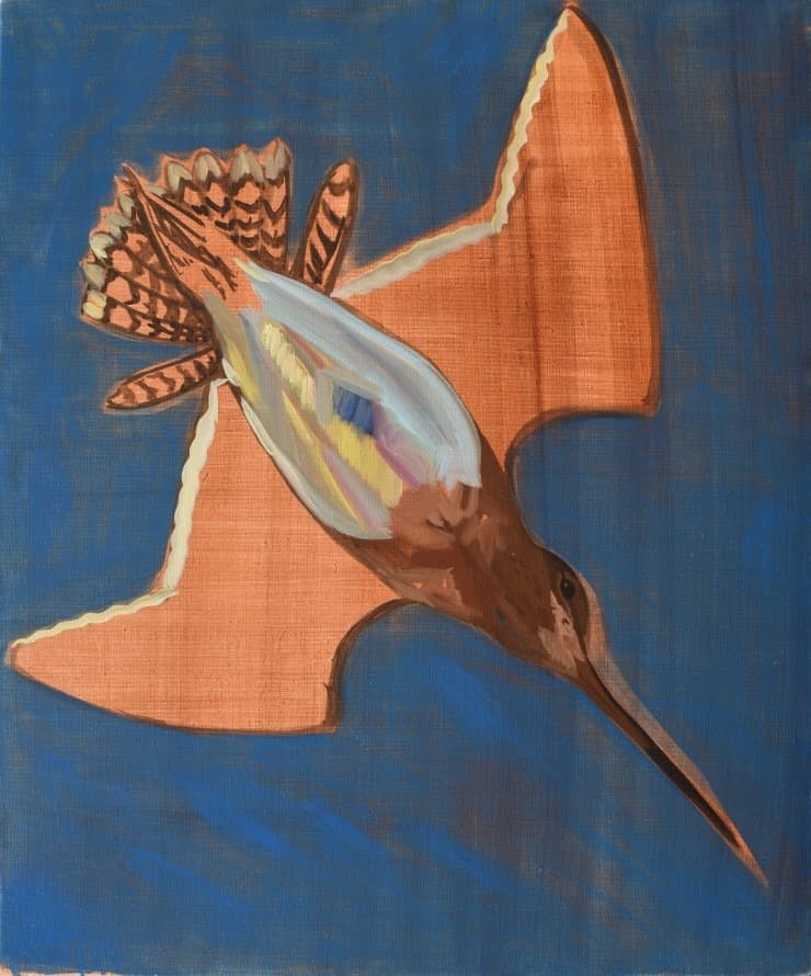 snipe · oil on canvas · 60x50cm · 2018