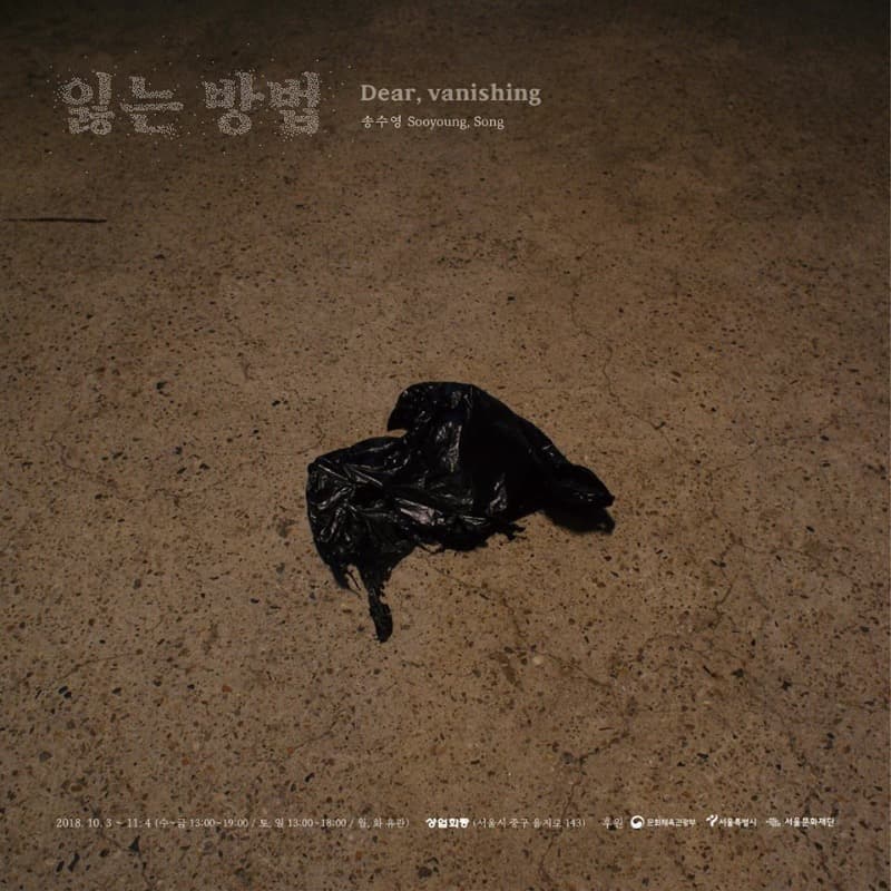 잃는 방법(Dear, vanishing) - 송수영 포스터