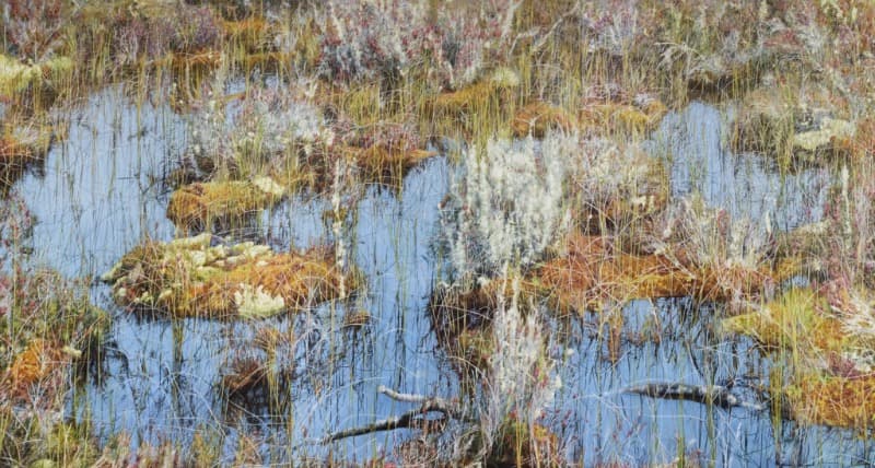 Untitled 1752 · Oil on canvas · 259.1x486.3cm · 2017
