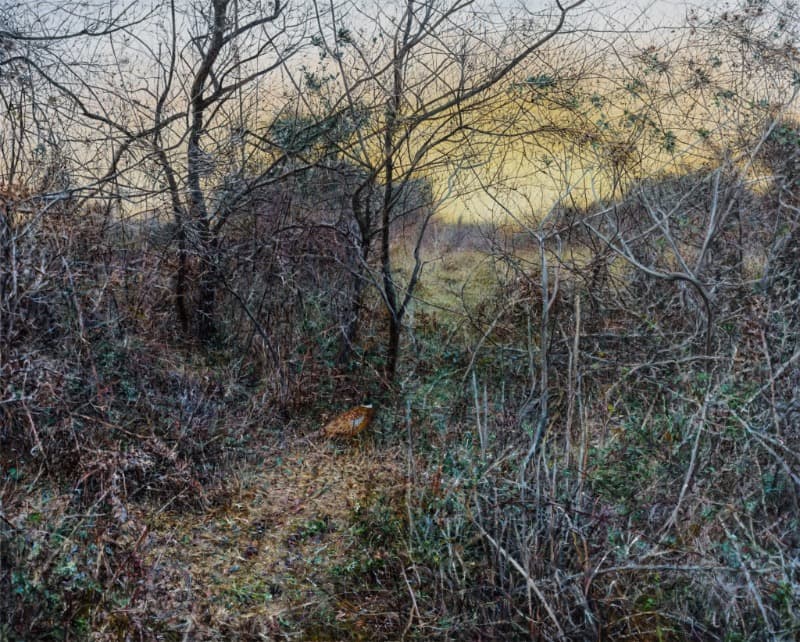 Untitled 1100 · Oil on canvas · 130.3x162.1cm · 2017 · Untitled 1100
