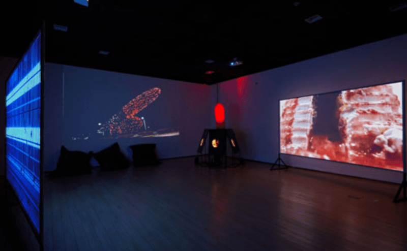 전시전경 · Exhibition view