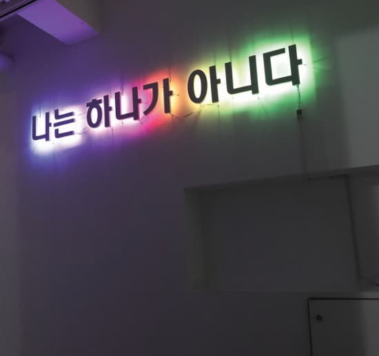 I Am Not One · iron plate. LED lamp · 2018