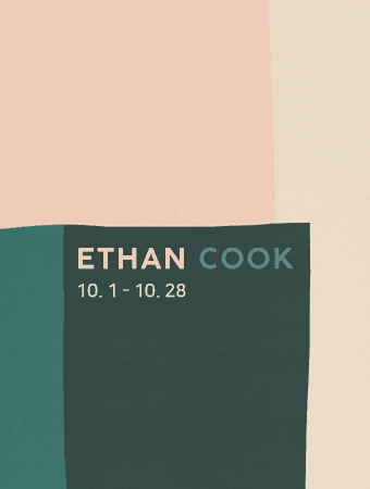 Ethan Cook