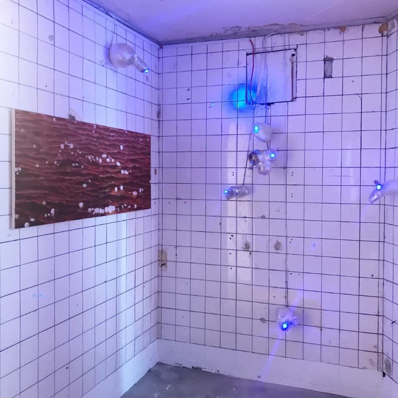 전시전경 · Exhibition view