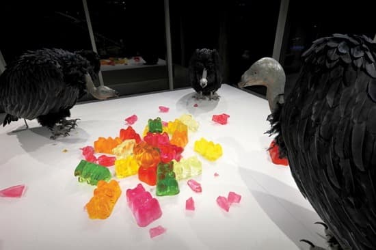Feeding Sites · Resin · Expanded Polystyrene · Feather · Sculpey · Gel wax · Wood / · Variable Installation · 2018