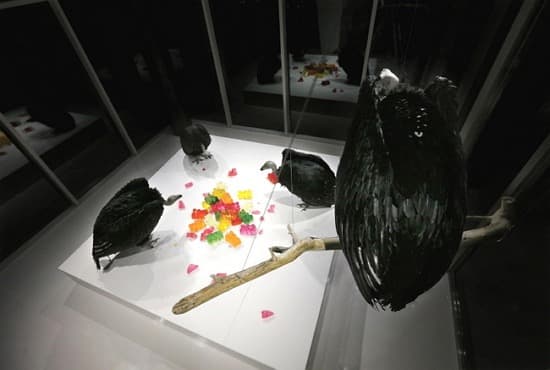 Feeding Sites · Resin. Expanded Polystyrene. Feather. Sculpey. Gel wax. wood · Variable Installation · 2018