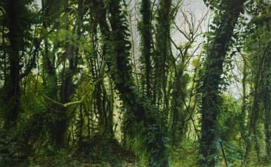 숲으로 들어가다 A forest scene