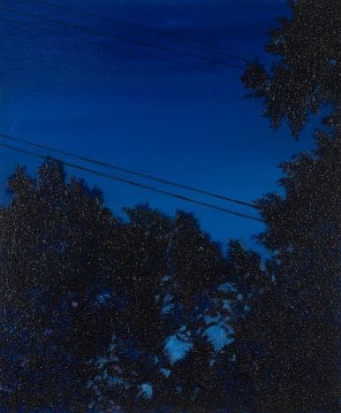 변연미 Foret spectrale · 캔버스에 아크릴물감. 커피가루 · 55x46 cm · 2015