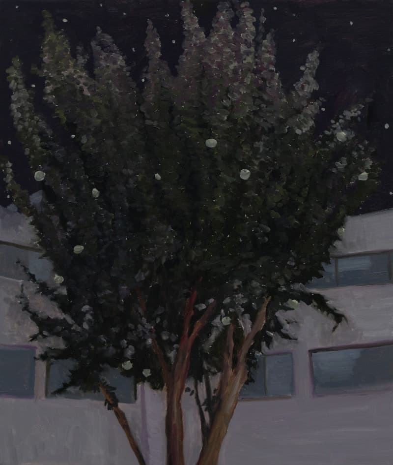 모과나무 · oil on canvas · 91-73cm · 2018