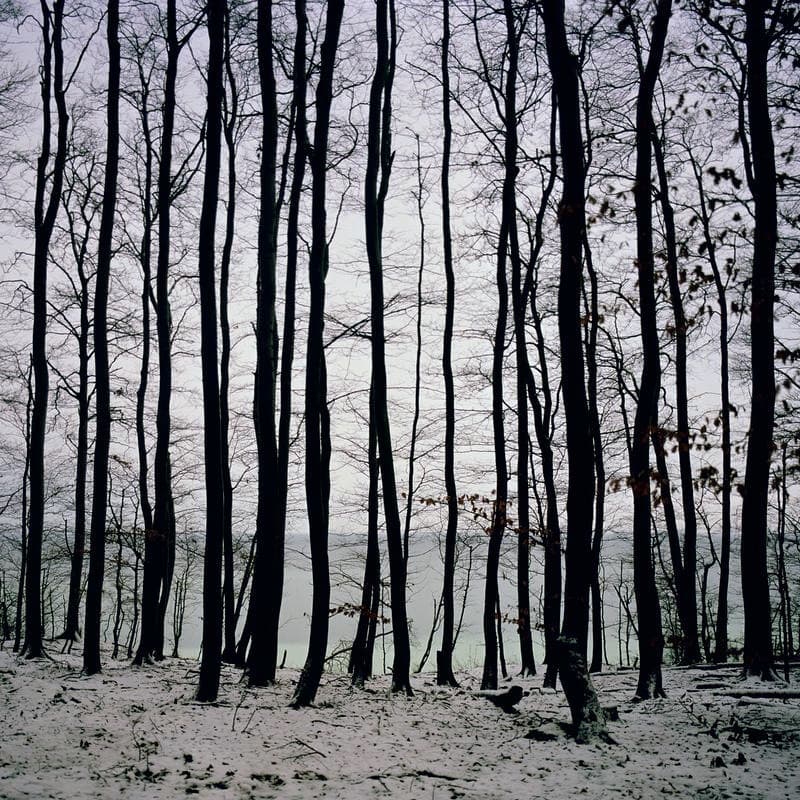 Fullmoon@Baltic Horizon · C-print · 121.2 x 121.2 cm · 2015