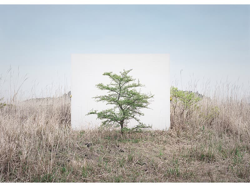 Tree... #9 · 2017