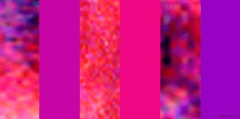 노승복 · 아카이브 피그먼트 프린트 · 300x100cm · 2018