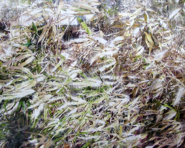 Dry Plant-18022 · 캔버스에 유채 · 181.8×227.3cm · 2018