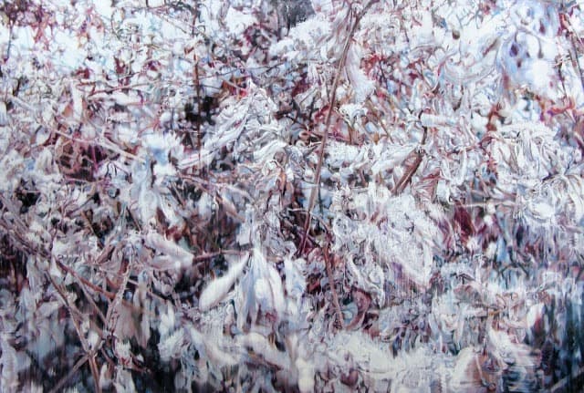 Dry Plant-18019 · 캔버스에 유채 · 130.3×193.9cm · 2018