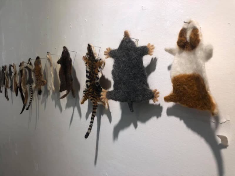 전시전경 · Exhibition view
