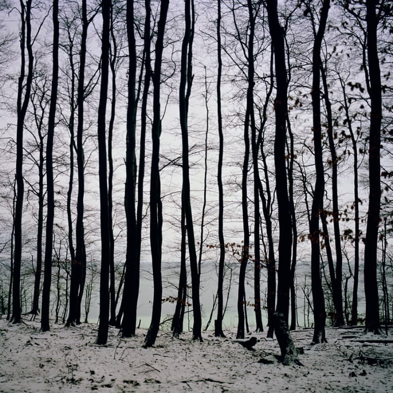 Fullmoon@Baltic Horizon · C-print · 121.2 x 121.2 cm · 2015 · Fullmoon@Baltic Horizon · C-print