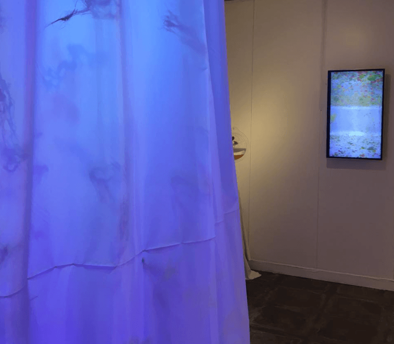 전시전경 · Exhibition view