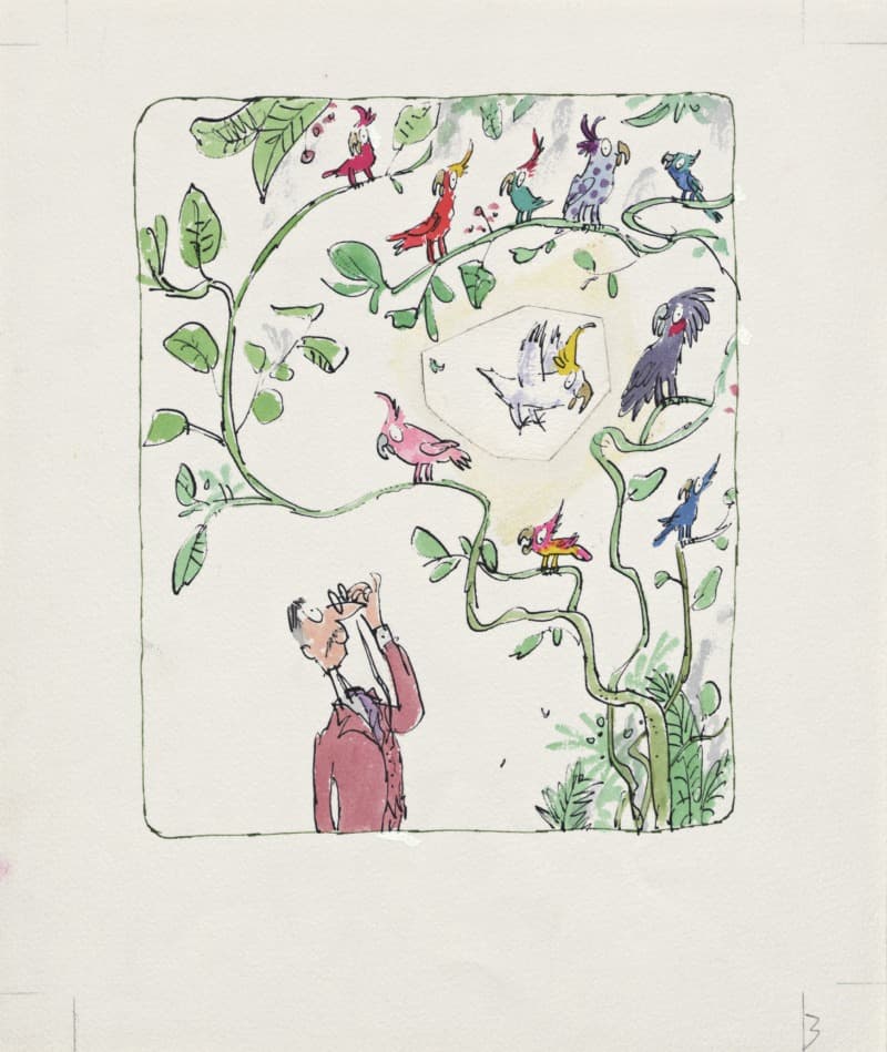 'Cockatoos' Quentin Blake · 1992 · 'Cockatoos' Quentin Blake