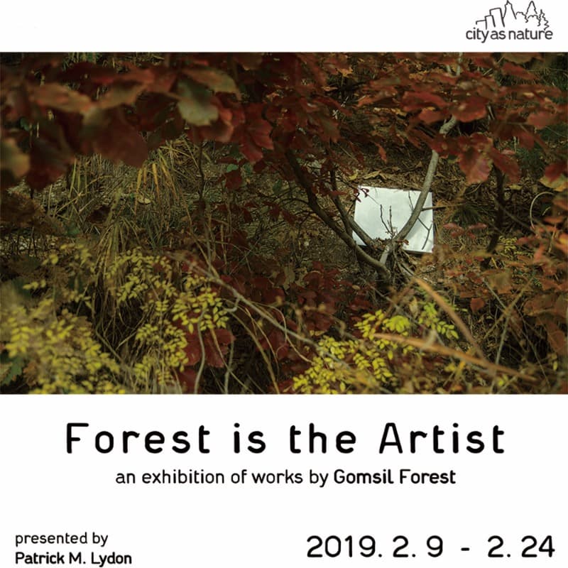 Forest is the Artist 포스터