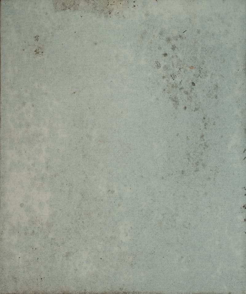 Untitled #2 · forest on canvas · 46x38cm · 2018