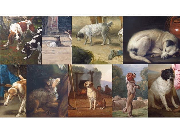 Dogs live in pictures · pigment print · 33 x 58.8 cm · 2017