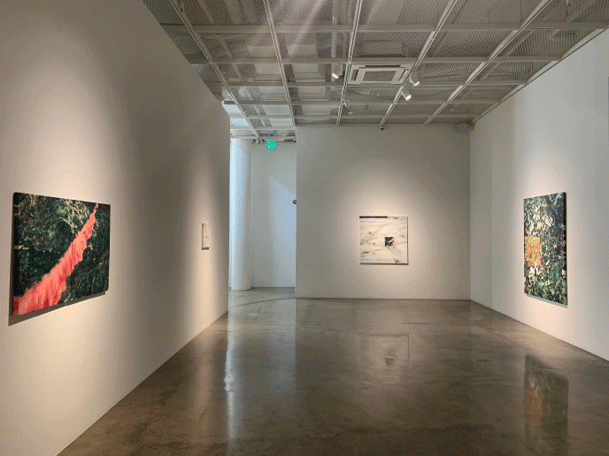 installation view