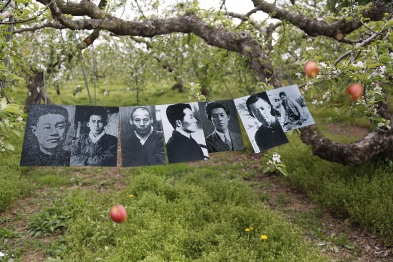 The moment apple flower comes to me -Apple‘s Travel#8 · Korea @ Shin HyunRim.Inkjet print. · 2019