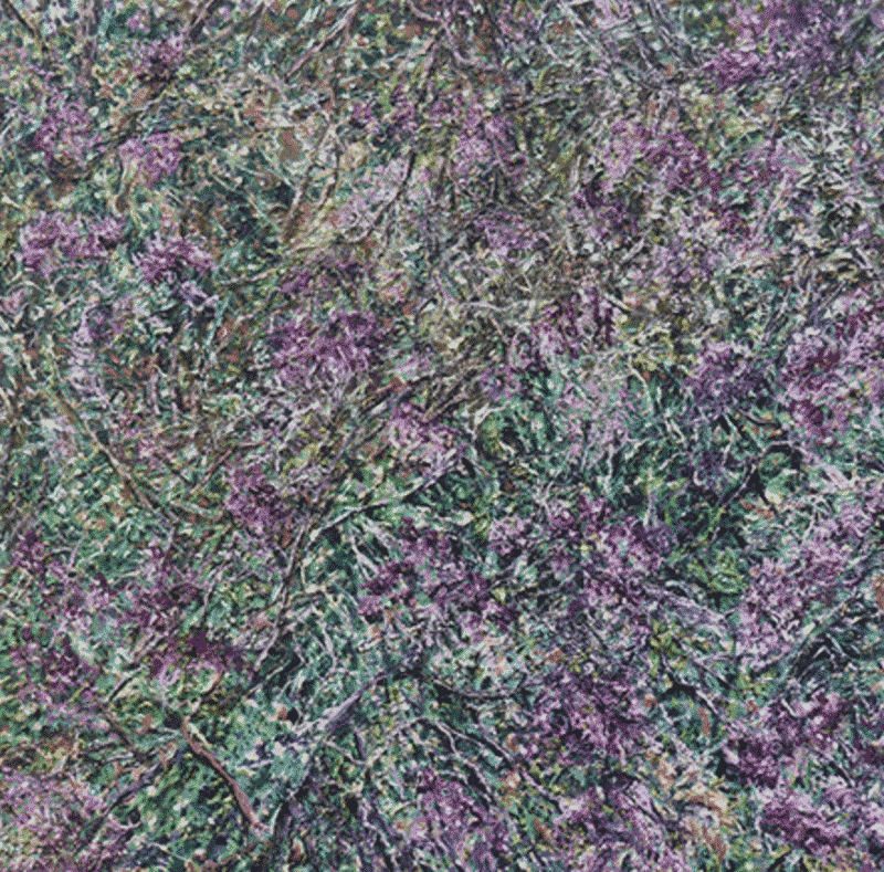 허수영_Forest 11 · oil on canvas · 45.5x45.5cm · 2018