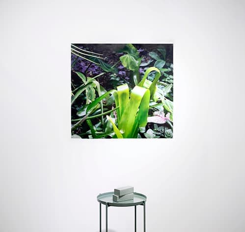 장유정_Natural Nature #5 · archival print. table. modeling clay · 94x100 cm. 45x45x60cm · 2018