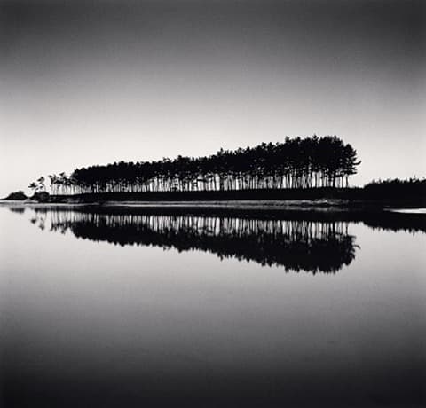 Pine Trees_ Study 5 · Unyeo Beach_ Chungcheongnam-do_ South Korea · 2018 · Pine Trees_ Study 5 · Unyeo Beach_ Chungcheongnam-do_ South Korea