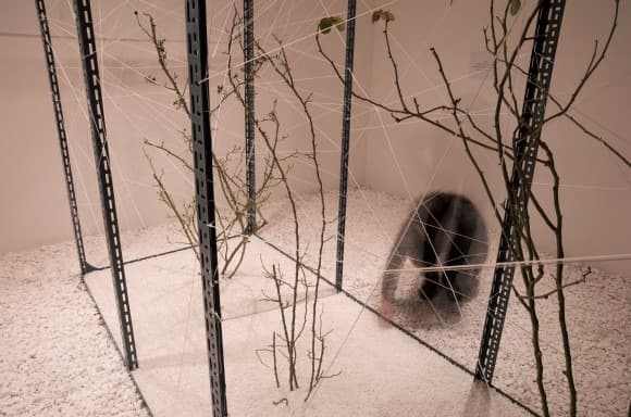 Exhibition_View