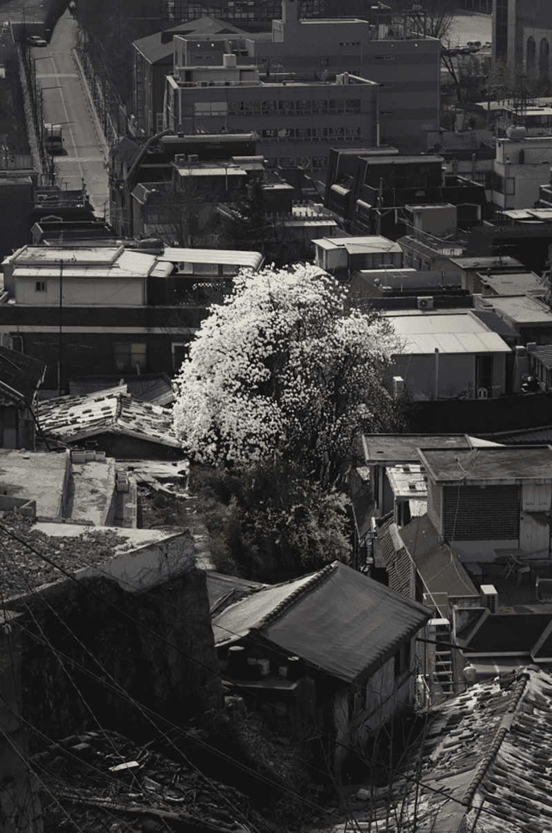 전시전경 · Exhibition view
