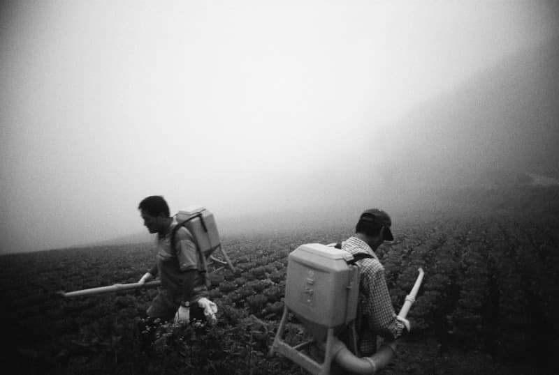 대관령 · Archival Pigment Print · 34x51cm · 2009 · Daegwallyeong · Archival Pigment Print