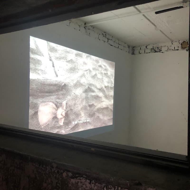 <대나무숲의 아메바들> 전시전경 · Amebas in the bamboo forest · Exhibition View