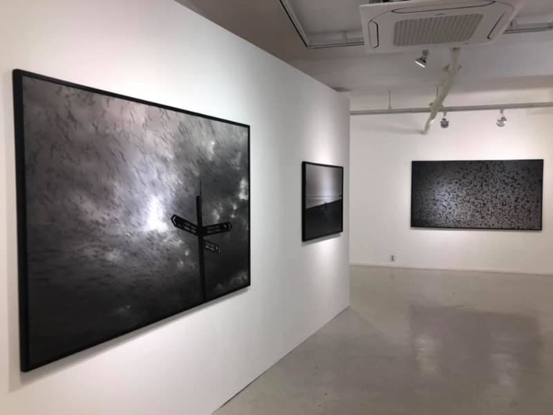 installation views