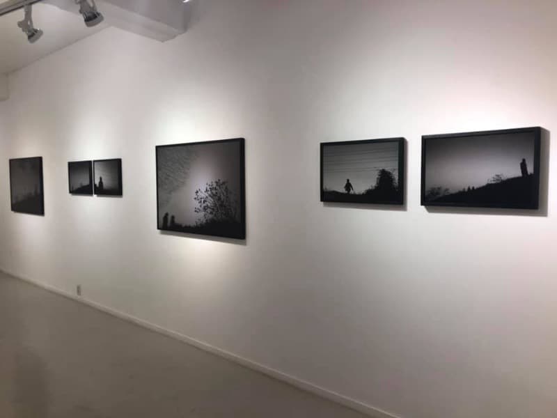 installation views · installation views