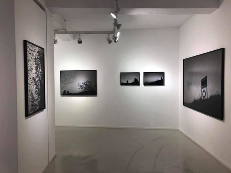 installation views