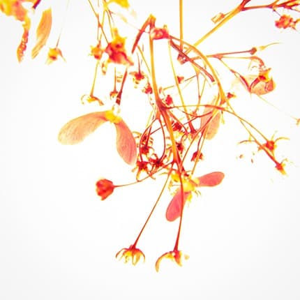 Visible Invisible #3 · Pigment Print on Masterpix Fineglass · 40x40cm · 2019 · Visible Invisible #3 · Pigment Print on Masterpix Fineglass