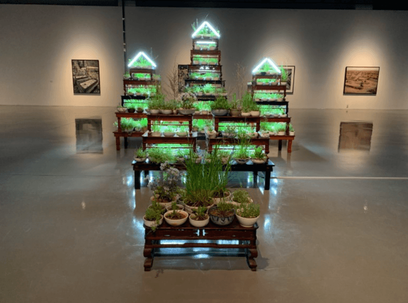 installation views