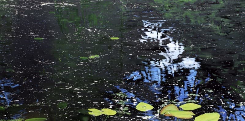 파크 82/83 · 캔버스에 유채 · 110×220cm · 2019 · Park 82/83 · oil on canvas