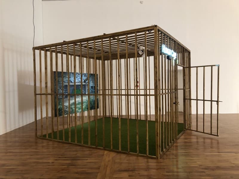 installation view