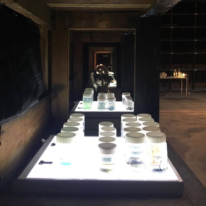 installation view