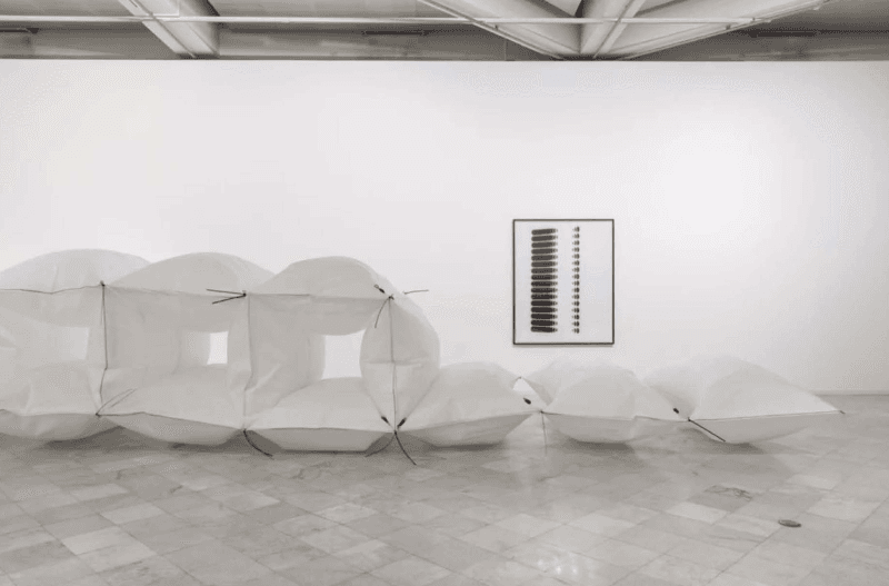 installation view