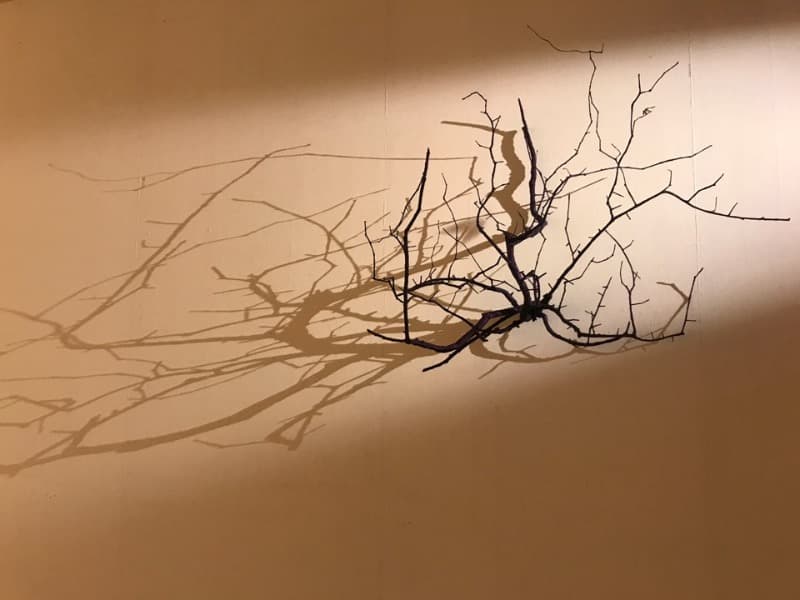 installation view_하광석