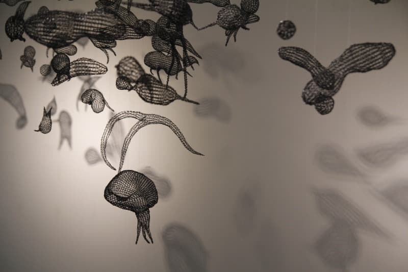 이원경_여러 개의 줄기를 지나 부유하고 부유하는.. · Aluminum Wire · 가변설치 · 2015-2019 · Lee Won-kyung _ rich and wealthy through several stems. · Aluminum Wire