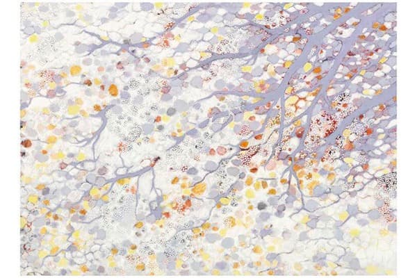 강호숙  In the Light1 · Oil on canvas · 122 x 167.6 cm · 2017