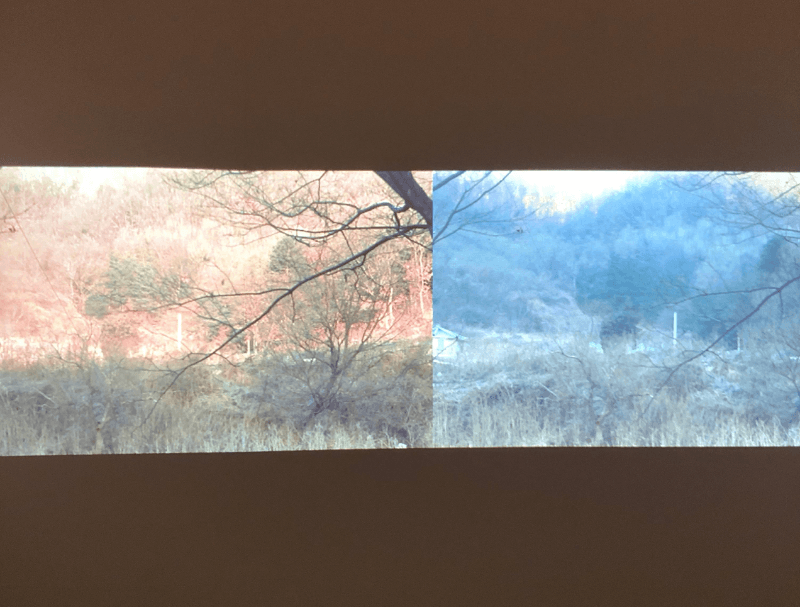 installation view