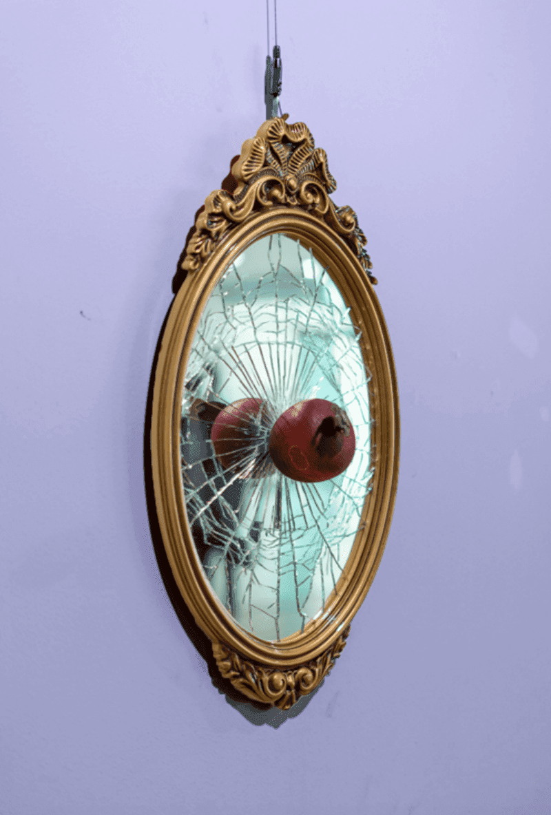 배유환_나무사과-거울파괴 · 혼합재료 · 65×35×20cm · 2018